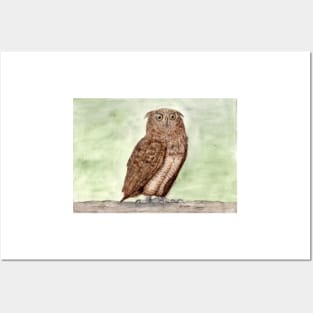 Owl spirit animal Posters and Art